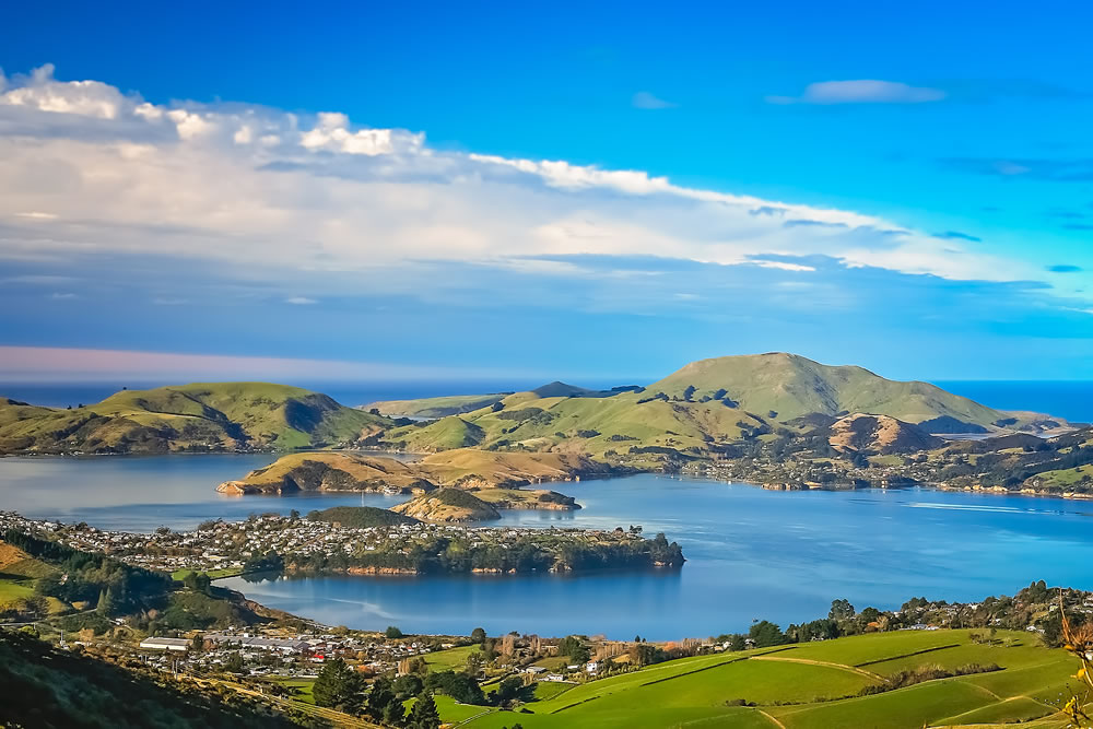 Dunedin town and bay as seen from the hills above, South Island, New Zealand