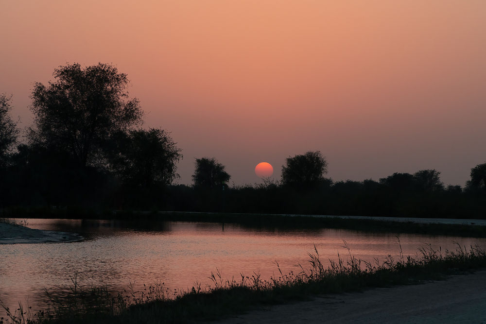beautiful and serene sunset at the al qudra lakes in dubai with a beautiful hues and glow in the sky.