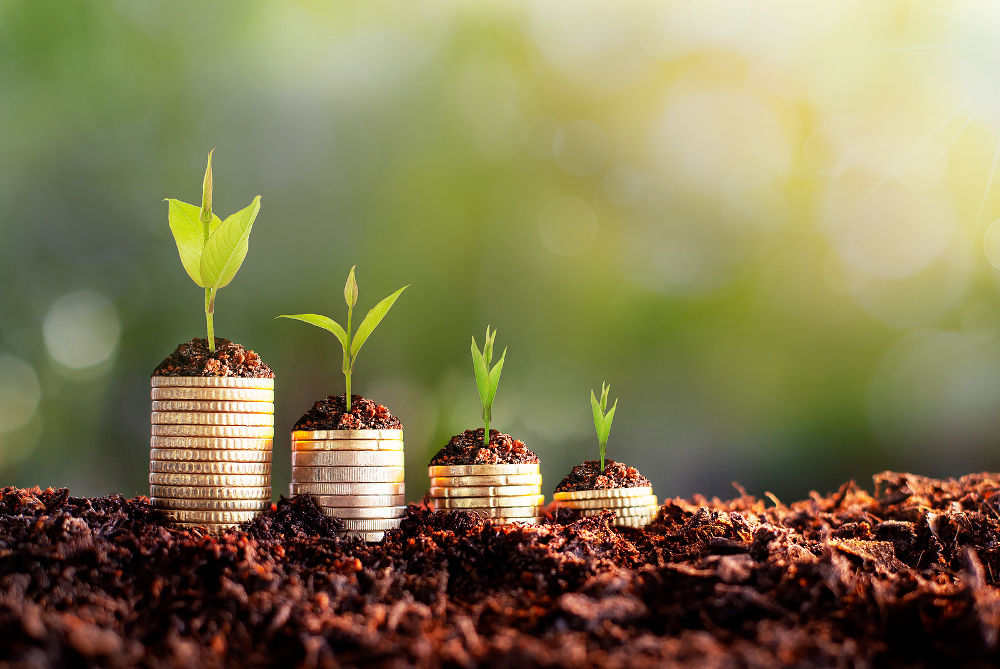 growing money in soil, success concept
