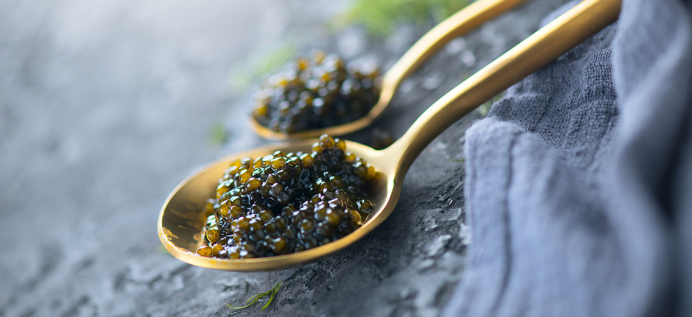 Black Caviar in a spoon on dark background