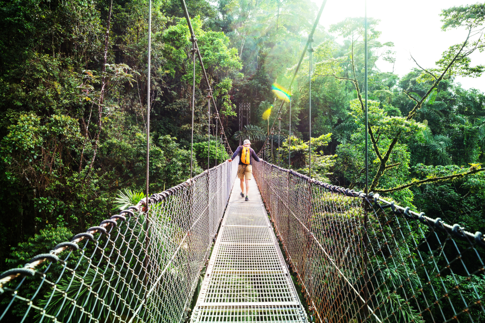 Costa Rica jungle walk