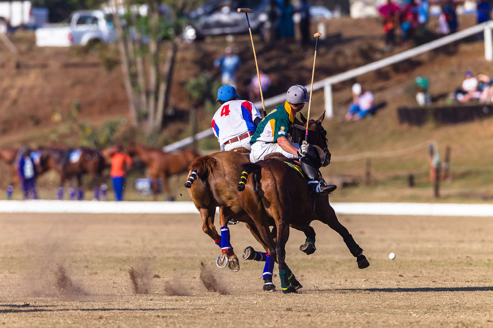 Polo game action unrecognizable players riding horses pony challenge for ball fast equestrian sport .