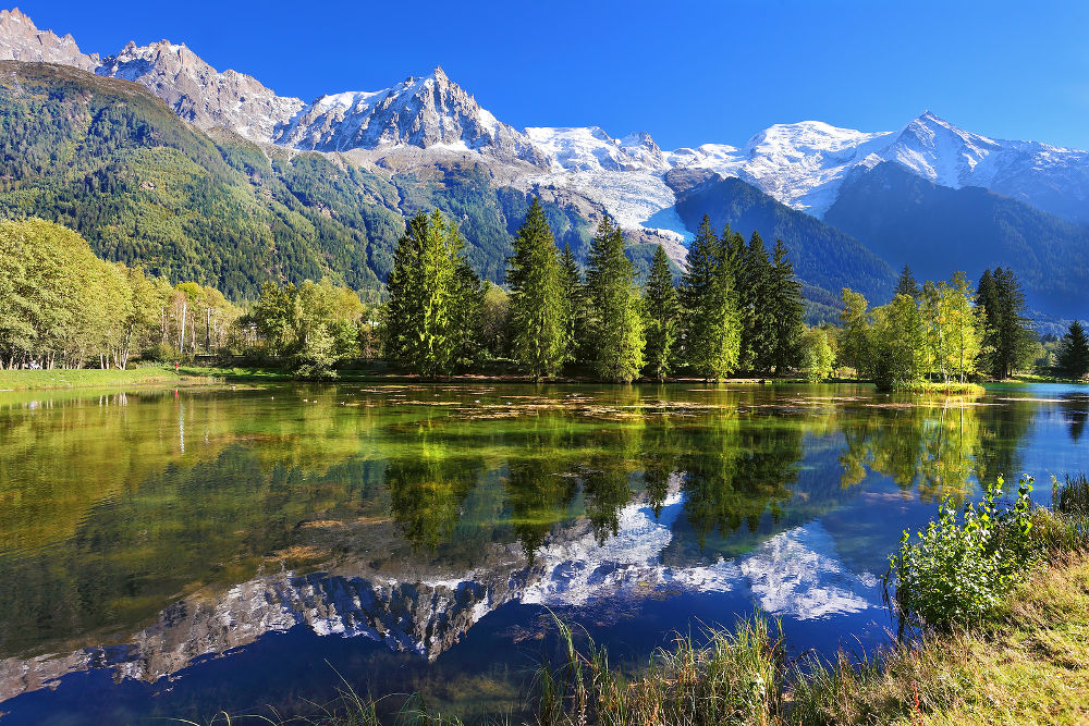 Snowy mountains and evergreen spruce reflected in the lake. City park in the mountain resort of Chamonix in France