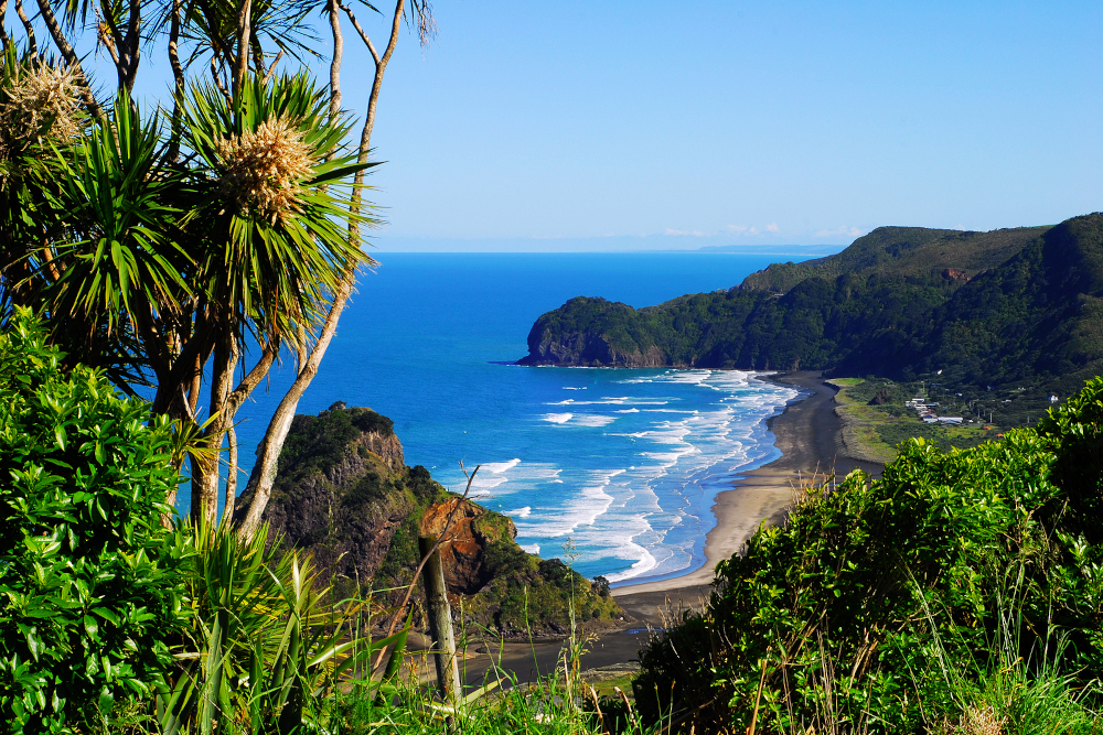 View of a west coast beach in New Zealand