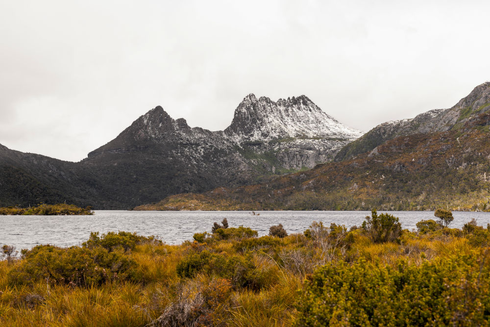 The Tasmanian Wilderness World Heritage Area
