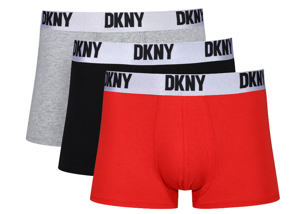 DKNY briefs