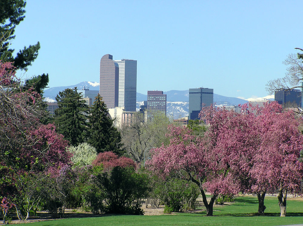 Denver skyline in the spring