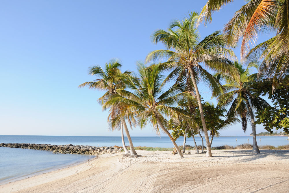Key West Palm Beach in Florida Keys USA