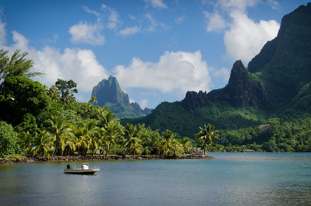 Boat in Cooks Bay with Moua Puta mountain in the background in a green jungle landscape on the tropical island of Moorea near Tahiti in the Pacific archipelago French Polynesia.