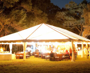 garden party tent