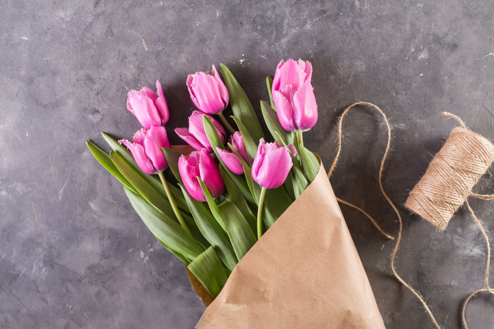 tulips for spring