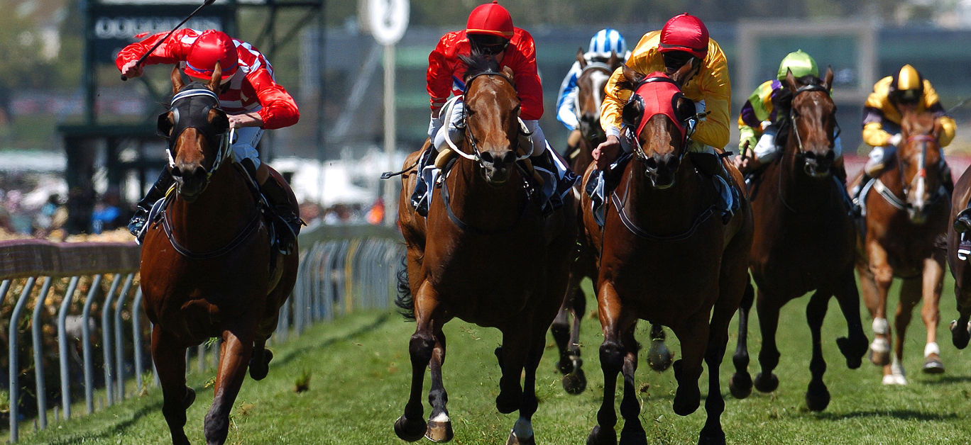 Horses come running toward the camera during a horse race on the grass track